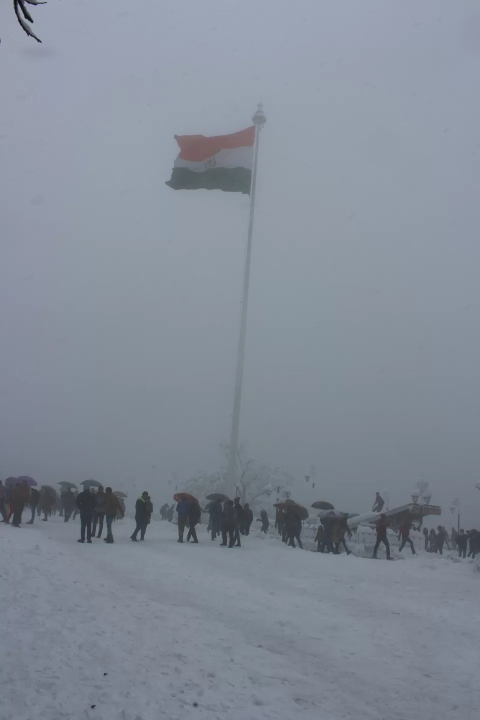 Photo of Shimla, Himachal Pradesh, India by Biswajeet Mishra