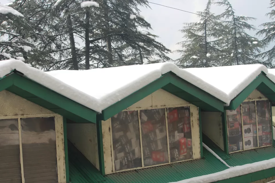 Photo of Shimla, Himachal Pradesh, India by Biswajeet Mishra
