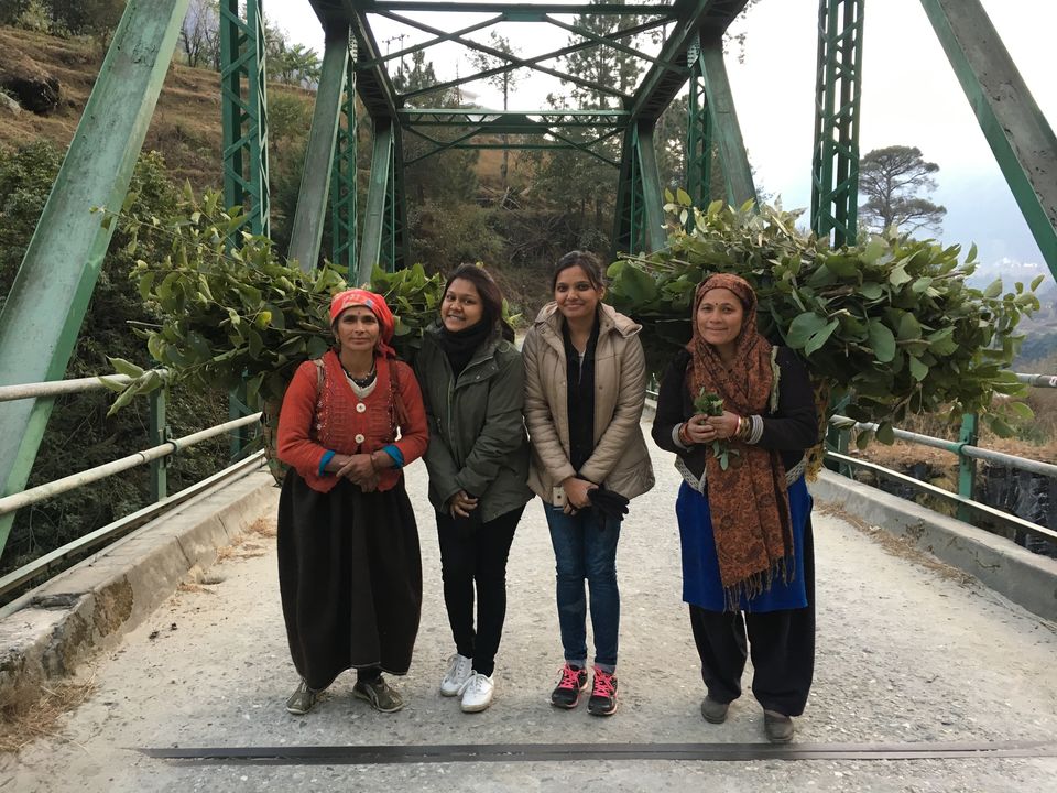 Photo of Brahmatal Trek- Complete episode 3/20 by suman paikra