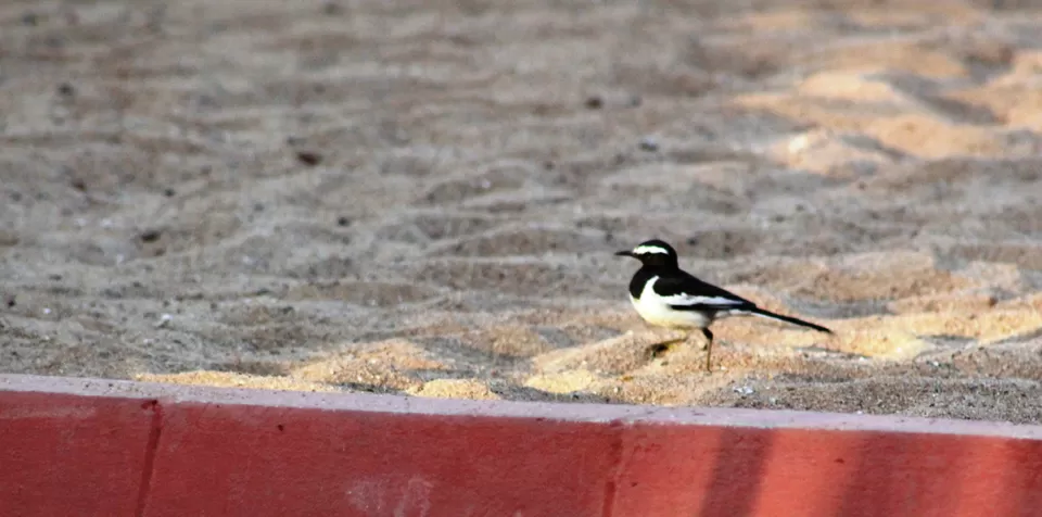 Photo of Kotipally Reservoir, Tandur - Mominpet Road, Kotpalli, Telangana, India by Ashwin Naidu