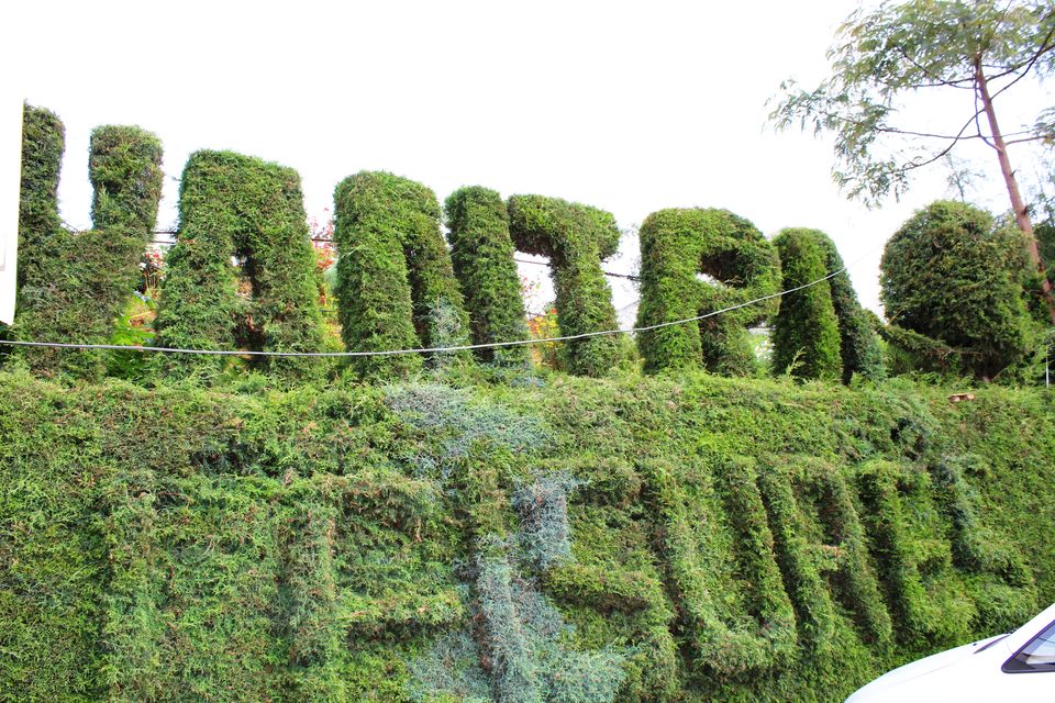 Photo of Best Way to Enjoy OOTY..Nilgiris 1/1 by Ashwin Naidu