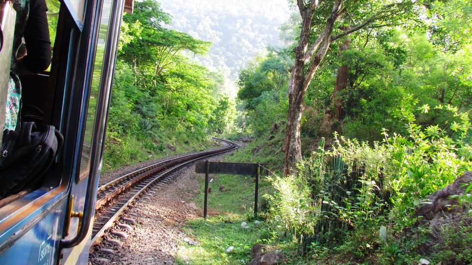 Photo of Best Way to Enjoy OOTY..Nilgiris by Ashwin Naidu