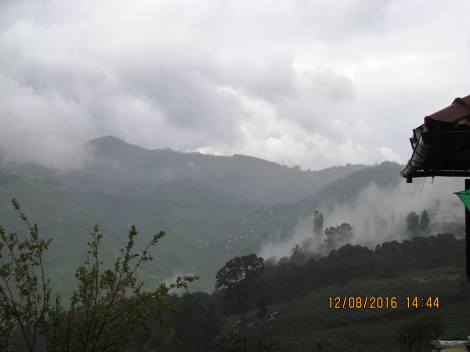 Photo of Acres Wild farmstay Coonoor, Coonoor, Tamil Nadu, India by Ashwin Naidu