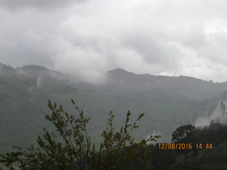 Photo of Acres Wild farmstay Coonoor, Coonoor, Tamil Nadu, India by Ashwin Naidu