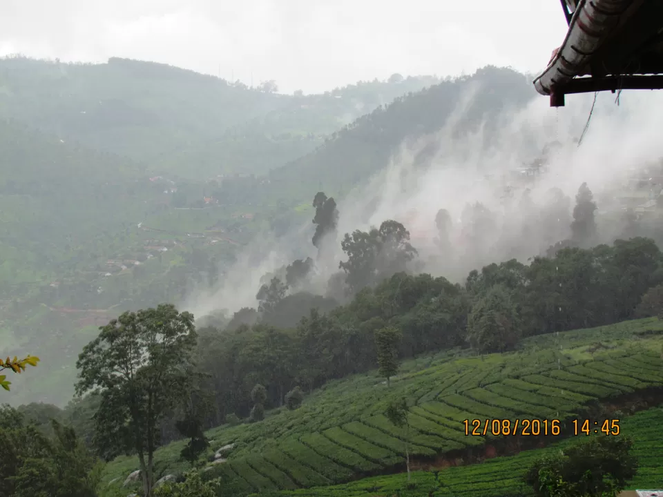 Photo of Acres Wild farmstay Coonoor, Coonoor, Tamil Nadu, India by Ashwin Naidu
