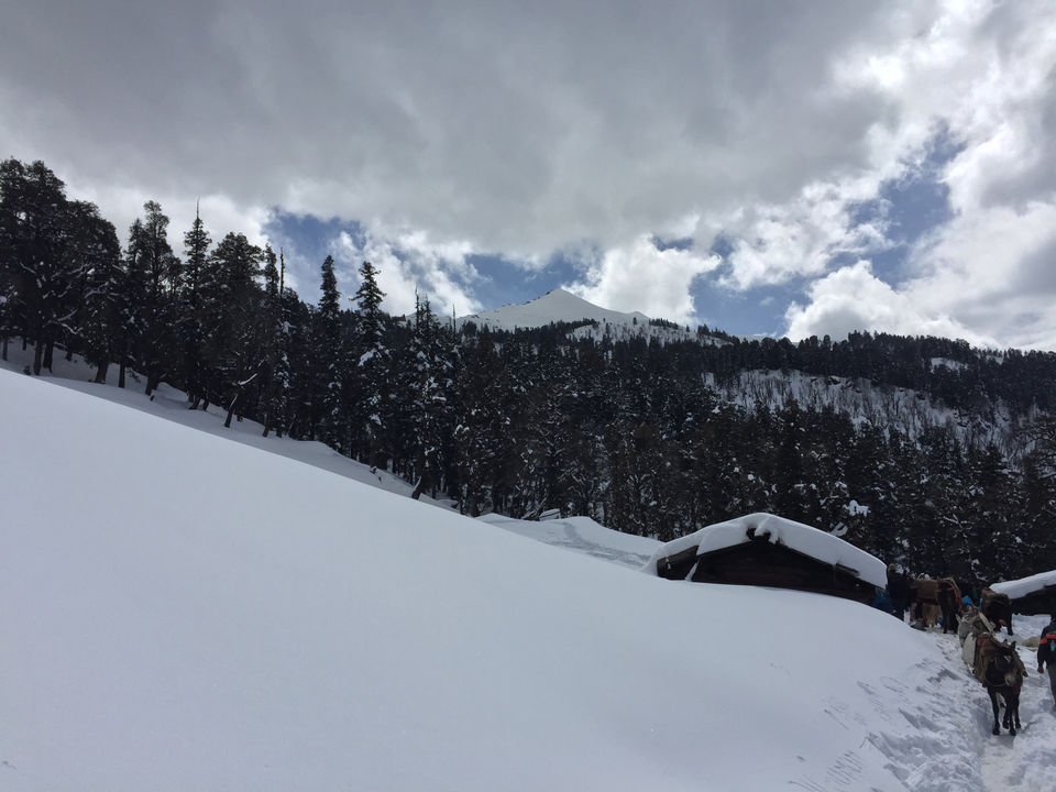 Photo of Kedarkanthak Trek March 2017 by Suhas Alawani