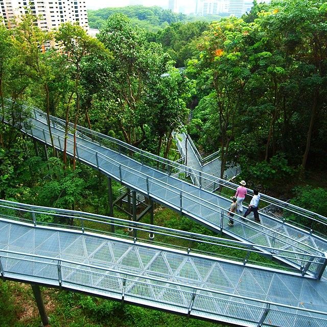 Photo of Visit These Five Places in Singapore to Fetch Your Best Selfies 3/5 by Sara Nicole