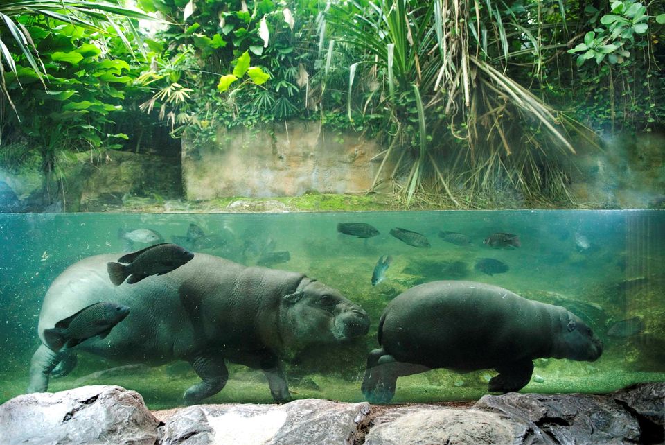Photo of Visit These Five Places in Singapore to Fetch Your Best Selfies 5/5 by Sara Nicole