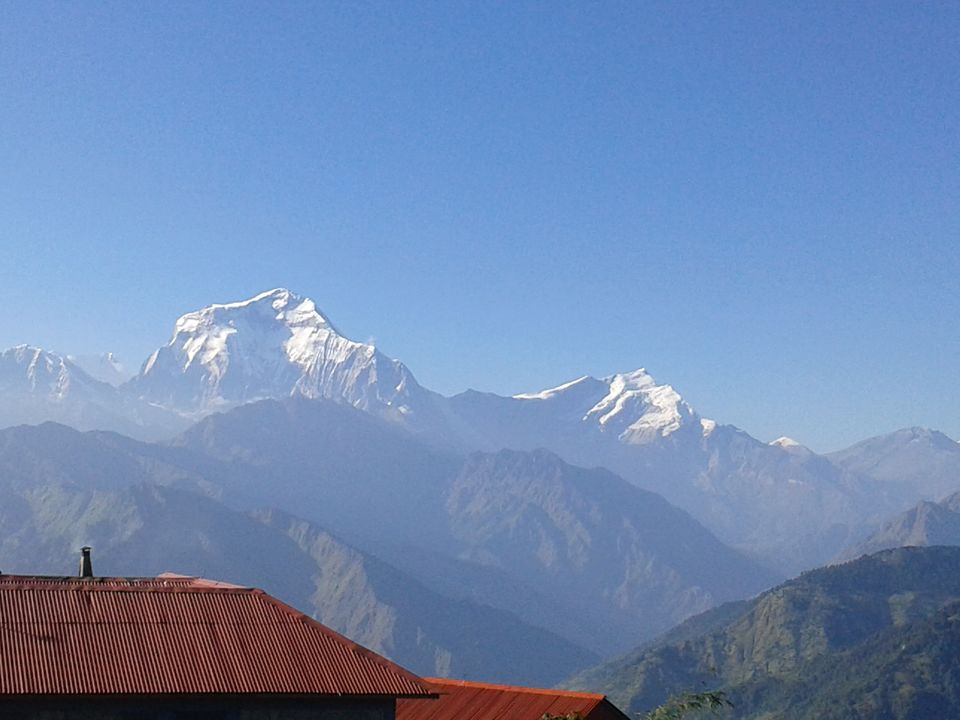 Photo of Ghorepani Poonhill Trekking / Short and Easy Trek in Annapurna 6/6 by The Nepal Trekking Company Pvt.Ltd
