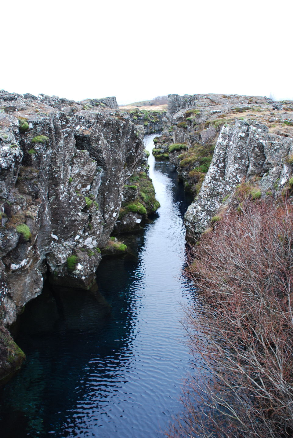 Photo of Þingvellir, Island by Floriano Fin