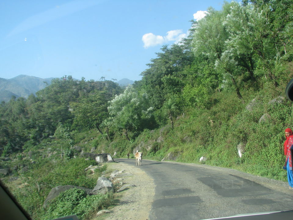 Photo of Himachal Pradesh-The land of majestic mountains and colourful surroundings! 2/12 by Javed Iqbal