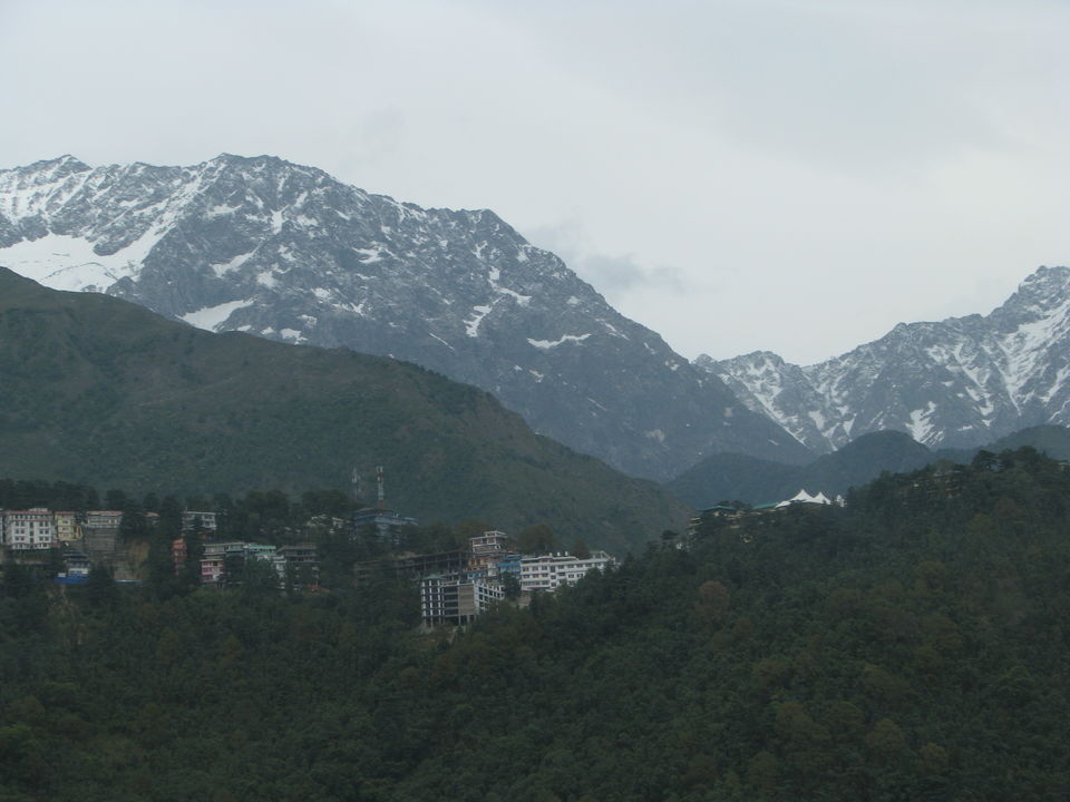 Photo of Himachal Pradesh-The land of majestic mountains and colourful surroundings! 7/12 by Javed Iqbal
