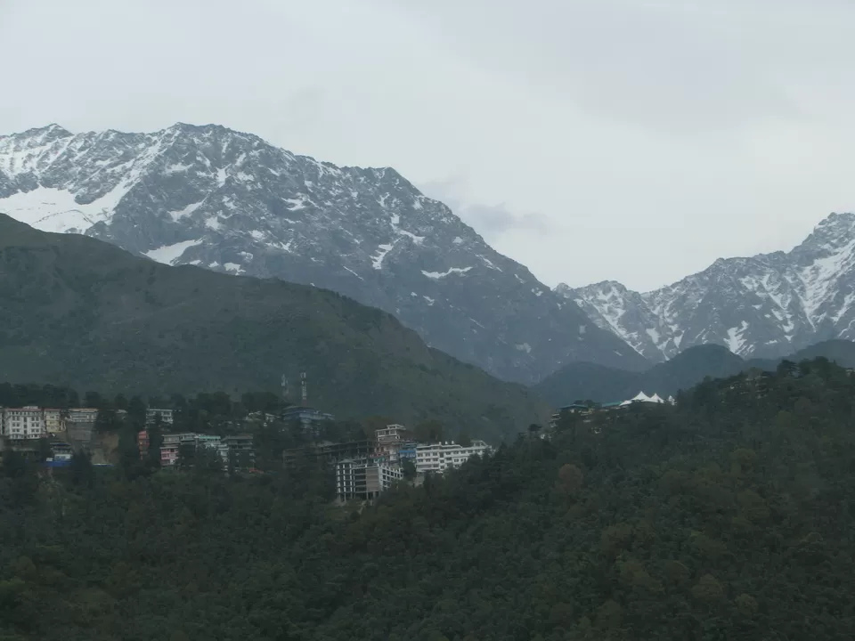 Photo of Kangra, Kangra, Himachal Pradesh, India by Javed Iqbal