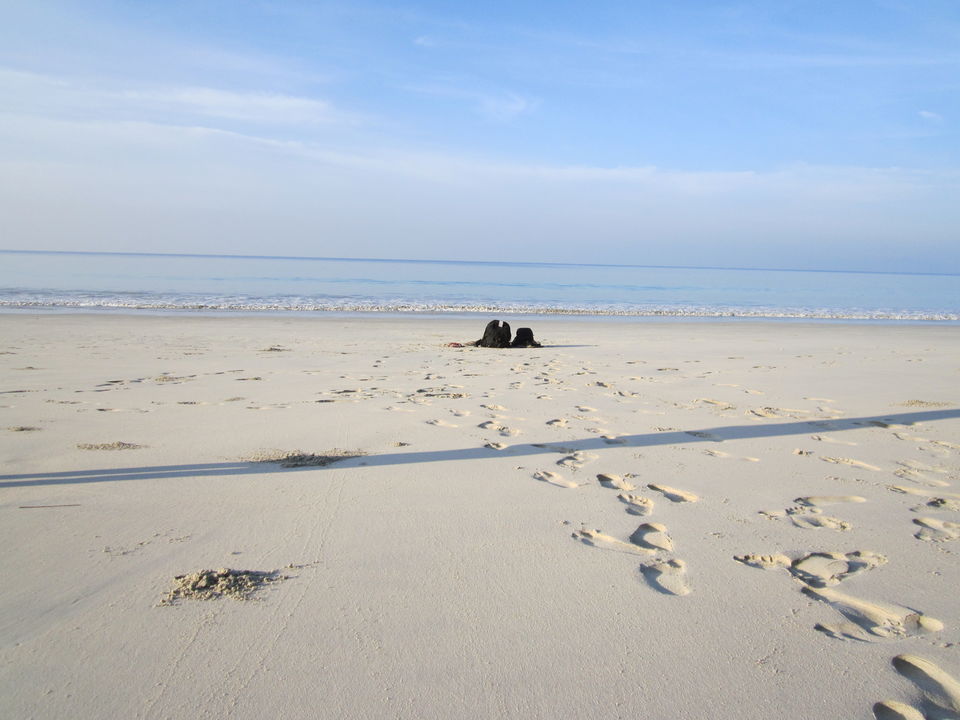 Photo of Into the blue-Andaman & Nicobar Islands! 5/20 by Javed Iqbal