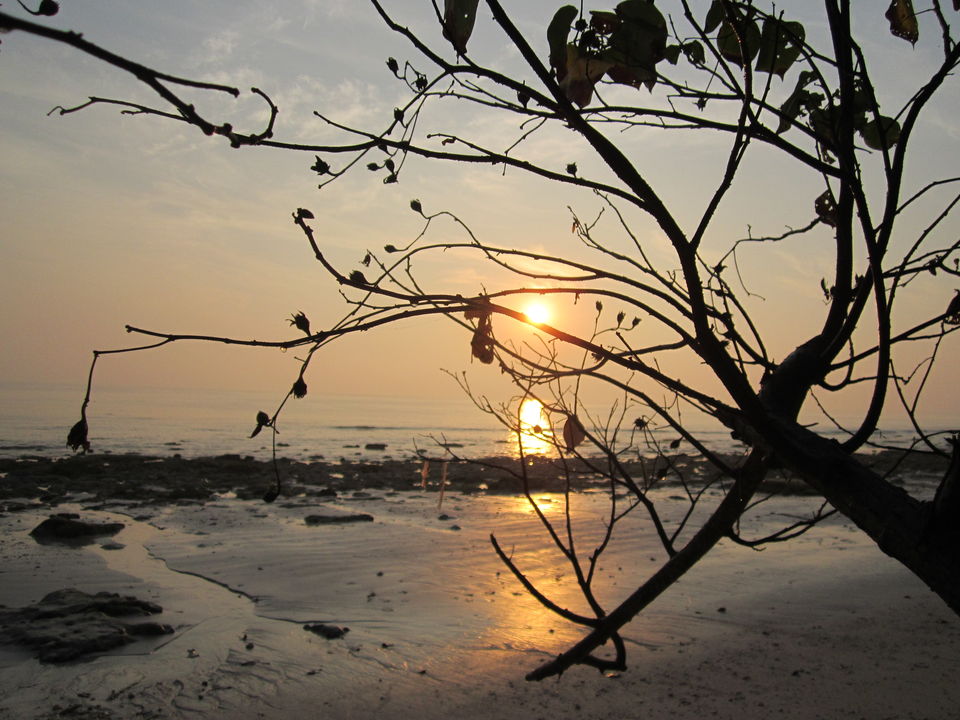 Photo of Into the blue-Andaman & Nicobar Islands! 9/20 by Javed Iqbal