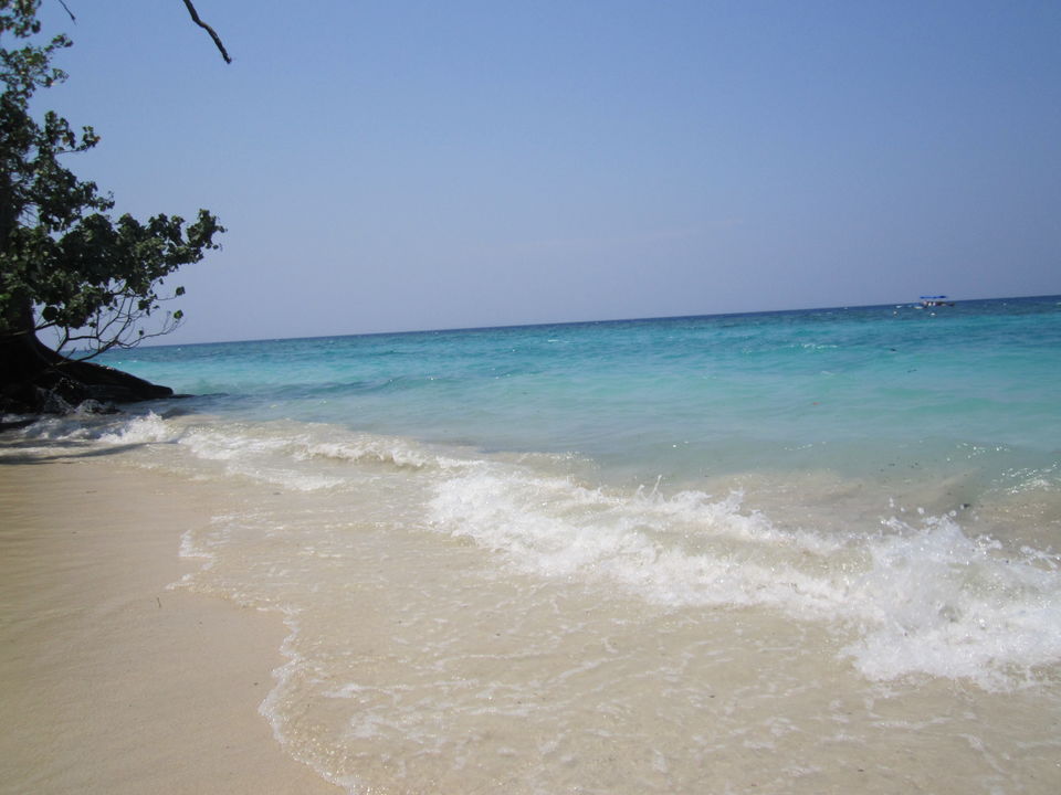 Photo of Into the blue-Andaman & Nicobar Islands! 10/20 by Javed Iqbal