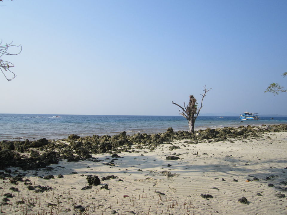 Photo of Into the blue-Andaman & Nicobar Islands! 11/20 by Javed Iqbal