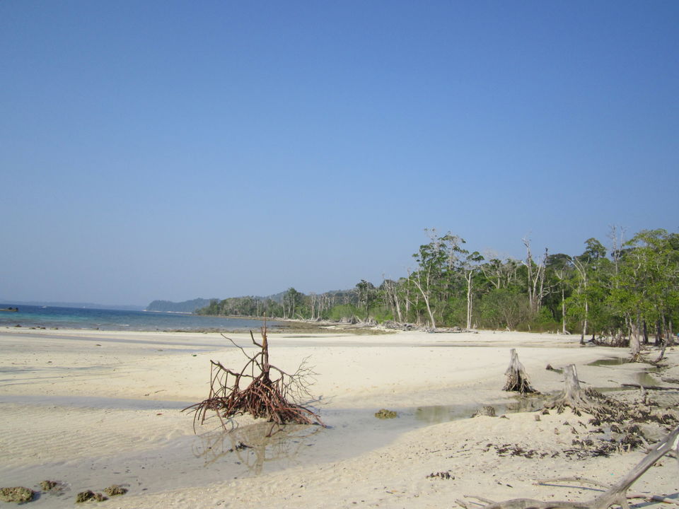 Photo of Into the blue-Andaman & Nicobar Islands! 12/20 by Javed Iqbal