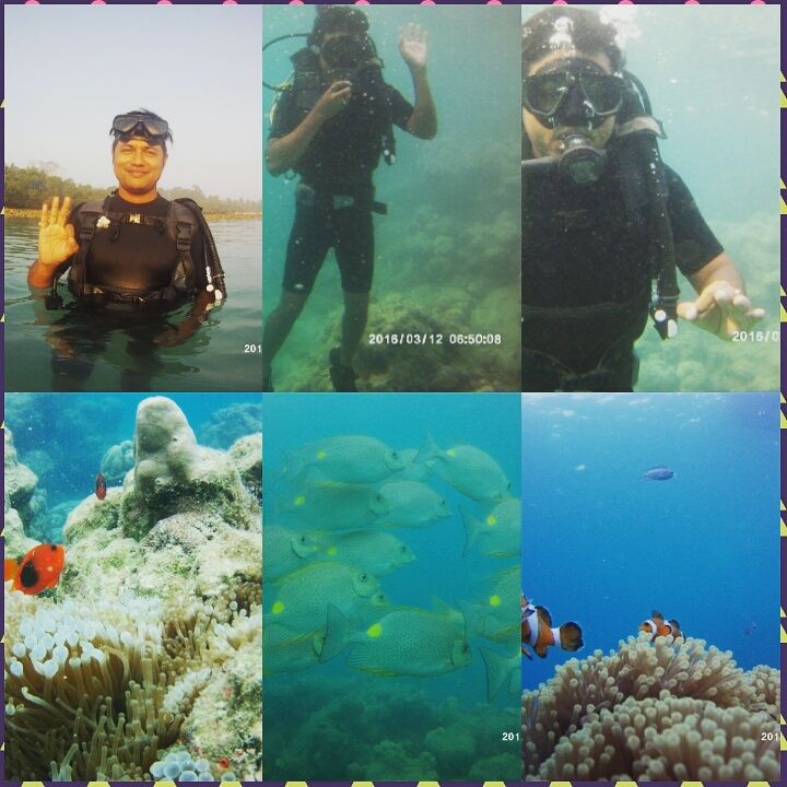 Photo of Into the blue-Andaman & Nicobar Islands! 20/20 by Javed Iqbal