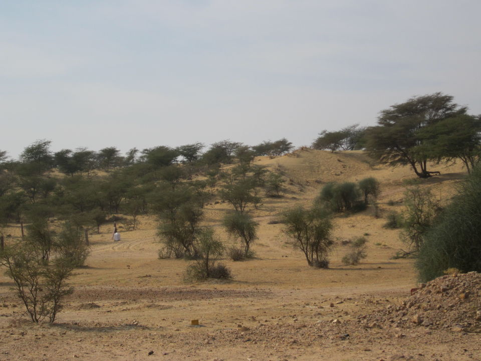 Photo of To the "Land Of Kings"-RAJASTHAN! 8/12 by Javed Iqbal