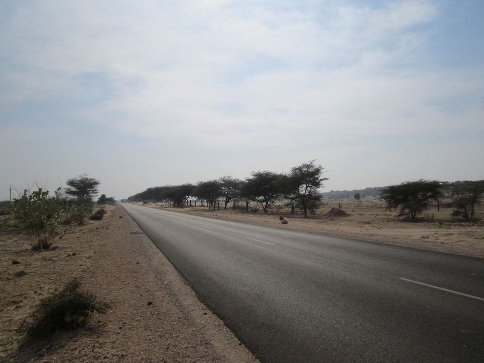 Photo of To the "Land Of Kings"-RAJASTHAN! 9/12 by Javed Iqbal