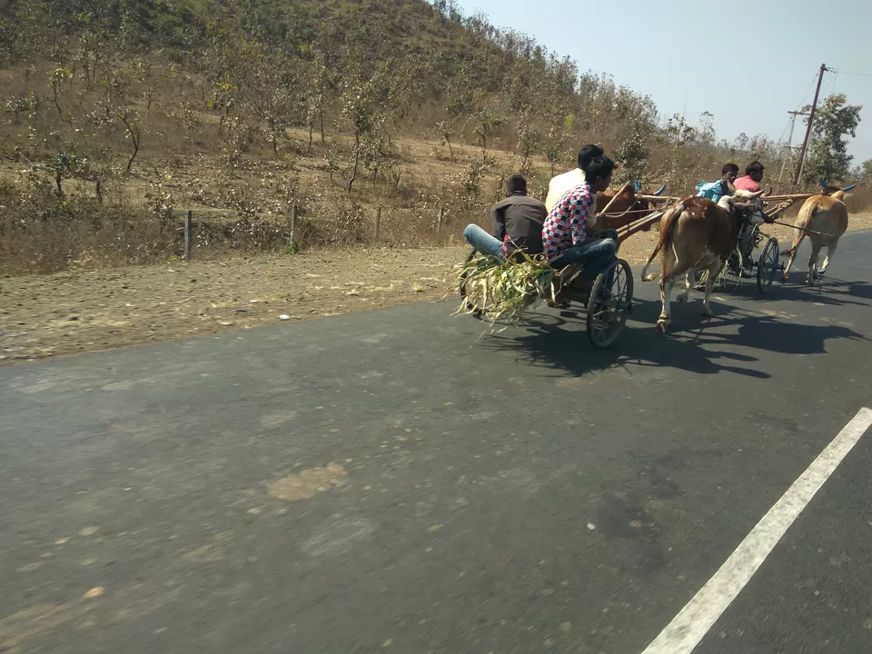 Photo of Chikhaldara, Maharashtra, India by oldskool_indian