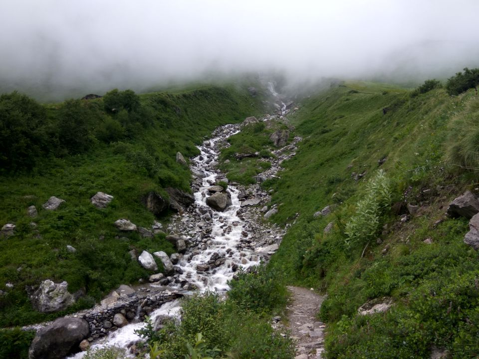Photo of My First Solo Himalayan Trek - Valley of Flower 6/16 by oldskool_indian