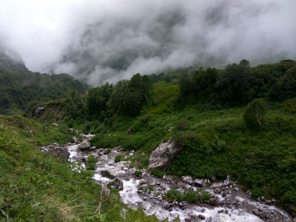 Photo of My First Solo Himalayan Trek - Valley of Flower 7/16 by oldskool_indian