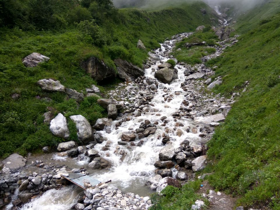 Photo of My First Solo Himalayan Trek - Valley of Flower 8/16 by oldskool_indian