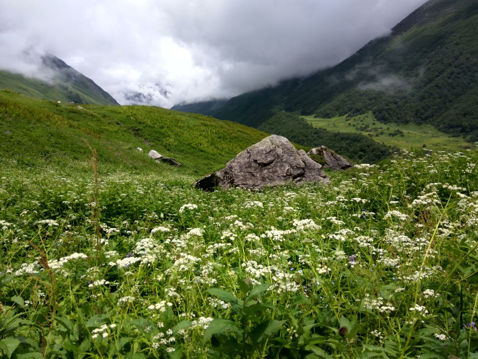 Photo of My First Solo Himalayan Trek - Valley of Flower 12/16 by oldskool_indian