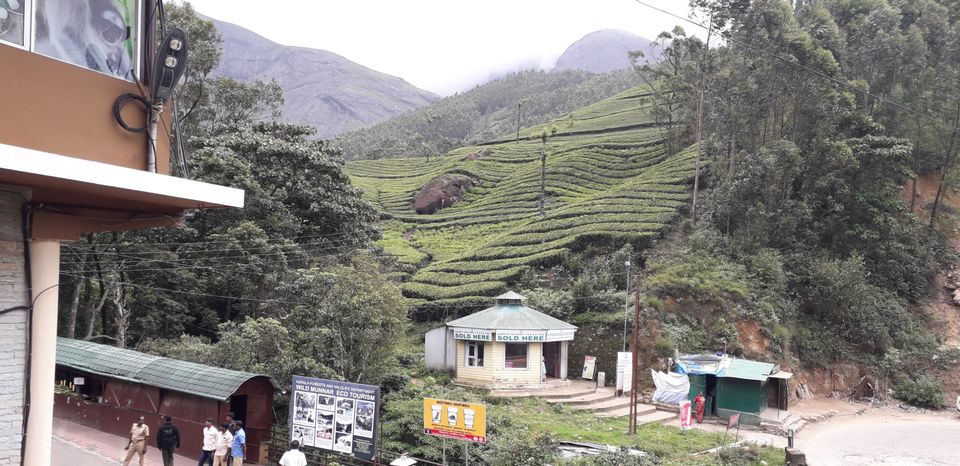Photo of Mission Munnar by Vivek Kanna