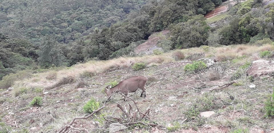 Photo of Mission Munnar by Vivek Kanna
