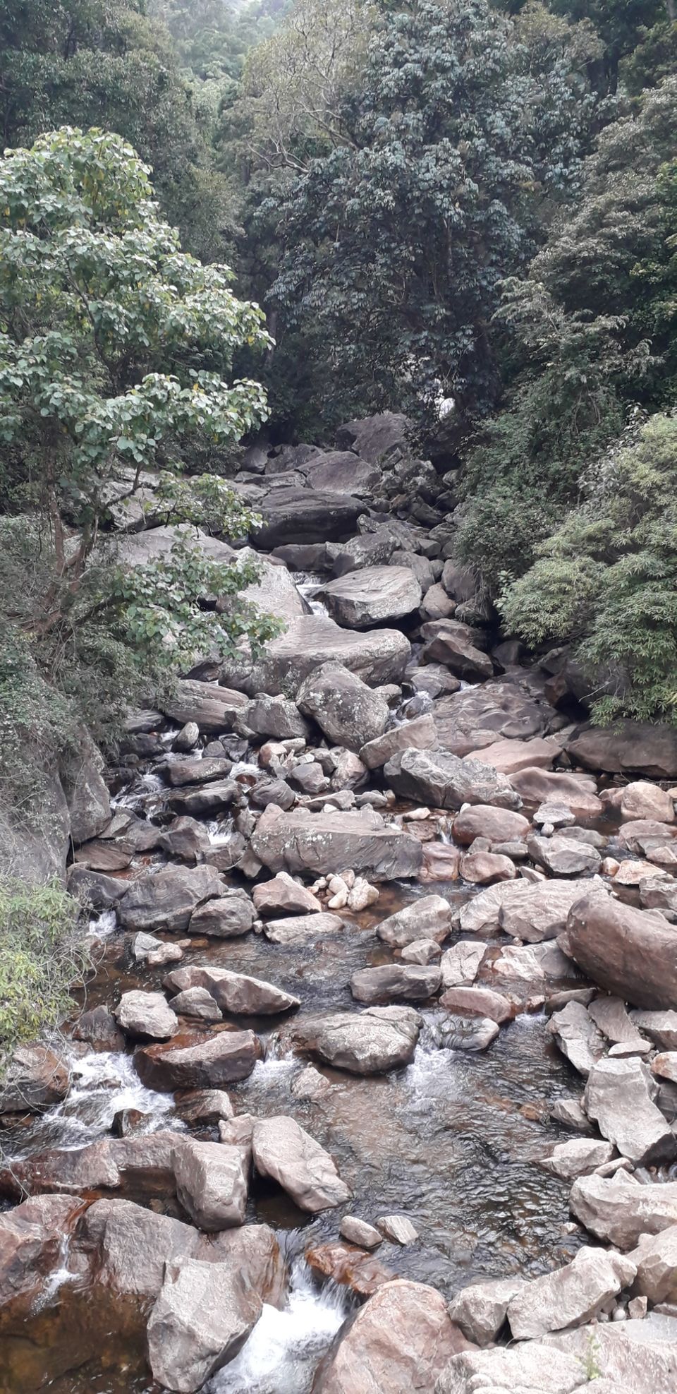 Photo of Mission Munnar by Vivek Kanna