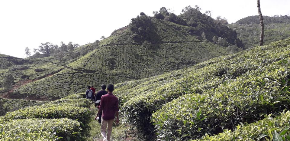 Photo of Mission Munnar by Vivek Kanna
