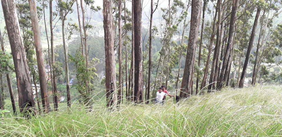 Photo of Mission Munnar by Vivek Kanna