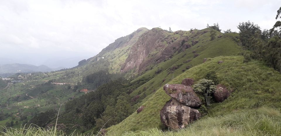 Photo of Mission Munnar by Vivek Kanna