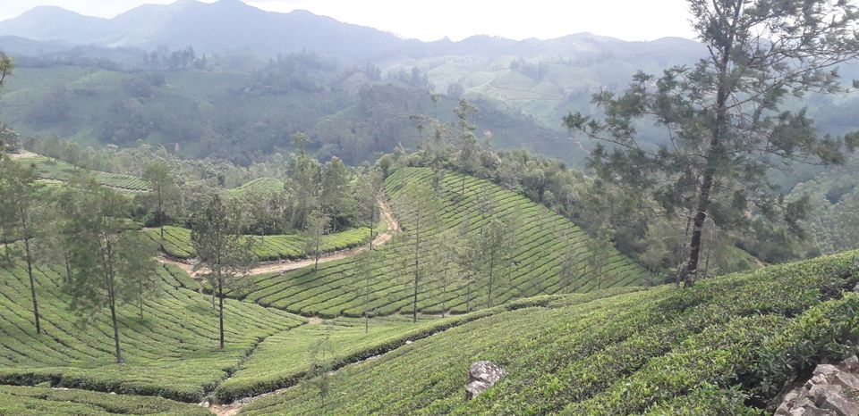 Photo of Mission Munnar by Vivek Kanna
