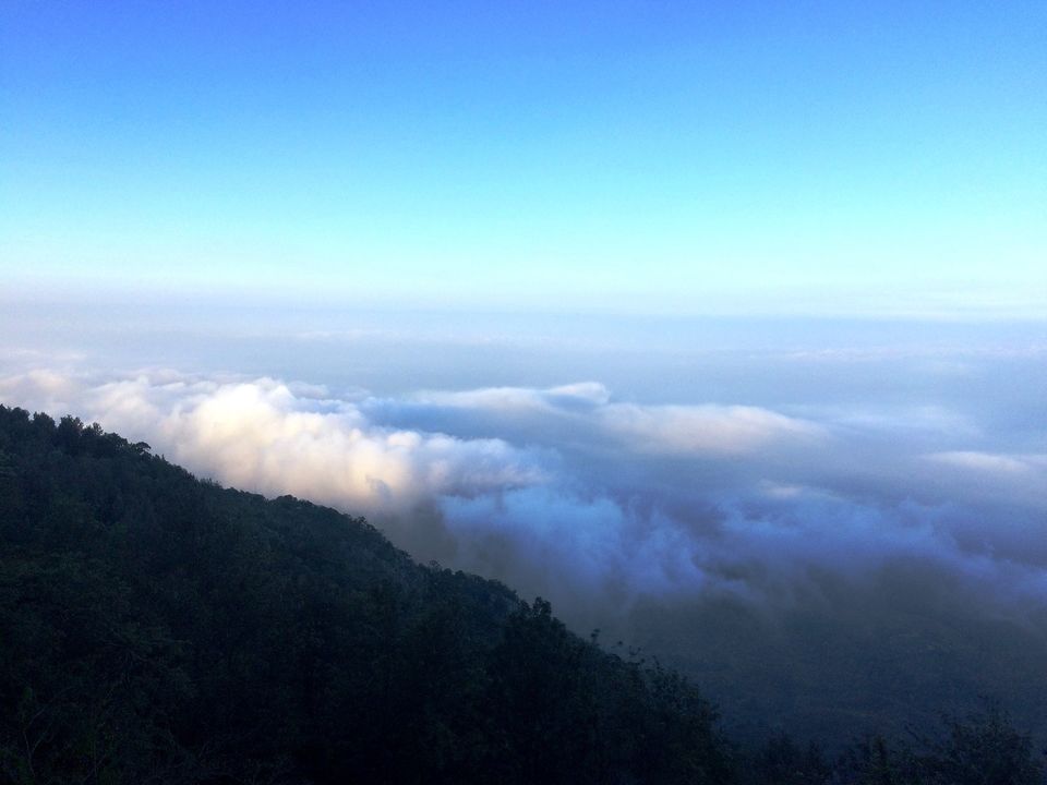 Photo of Unwind at Yercaud!! 1/26 by Paramita