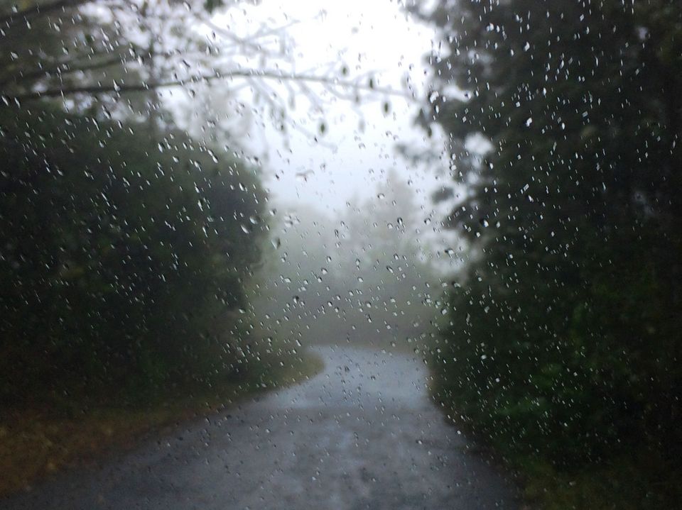 Photo of Unwind at Yercaud!! 3/26 by Paramita