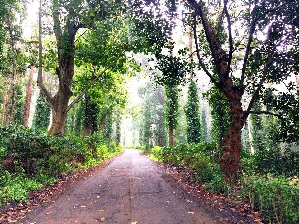 Photo of Unwind at Yercaud!! 6/26 by Paramita