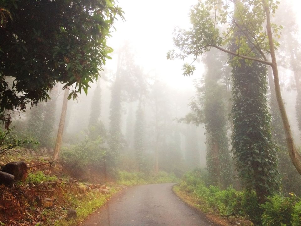 Photo of Unwind at Yercaud!! 7/26 by Paramita