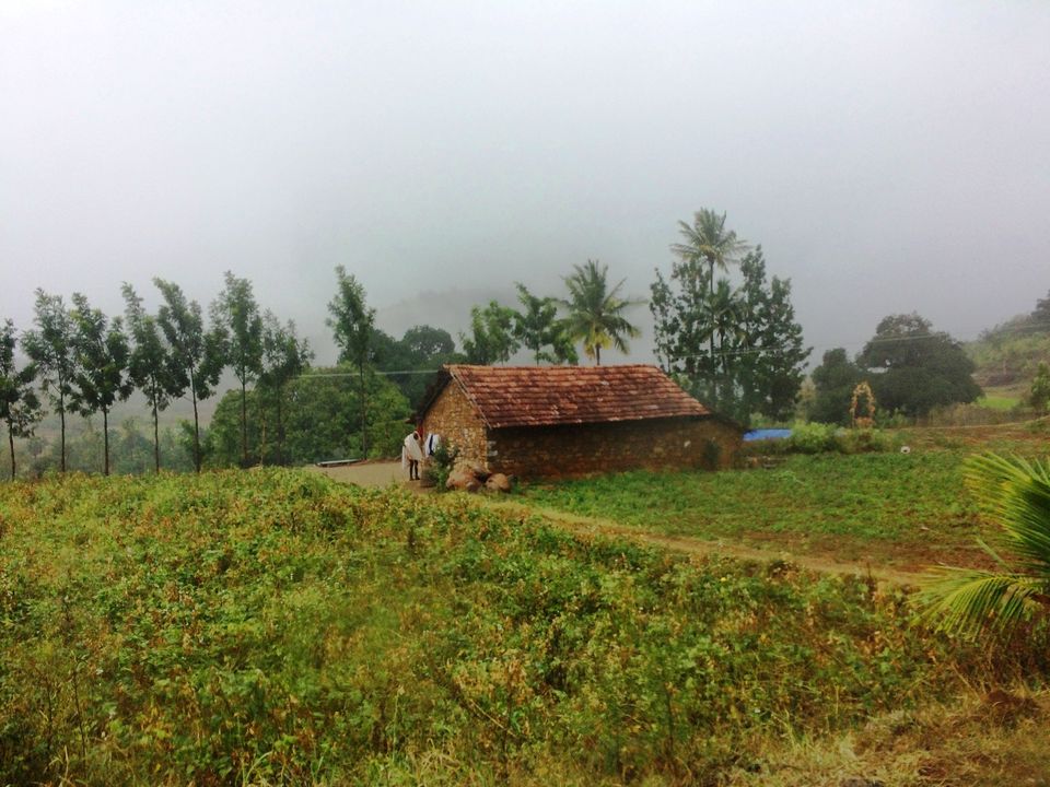 Photo of Unwind at Yercaud!! 9/26 by Paramita