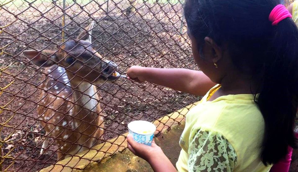 Photo of Unwind at Yercaud!! 12/26 by Paramita