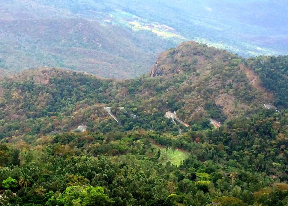 Photo of Unwind at Yercaud!! 15/26 by Paramita