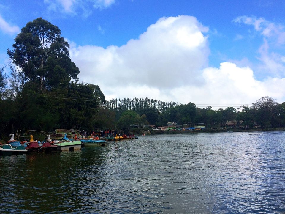 Photo of Unwind at Yercaud!! 16/26 by Paramita