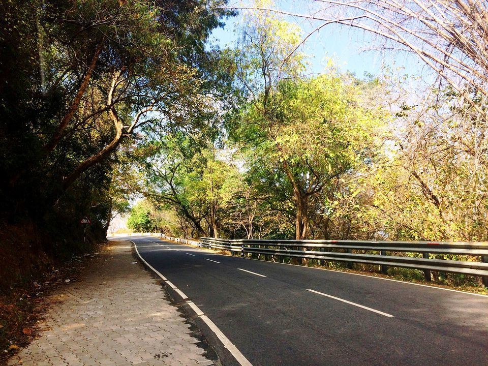 Photo of Unwind at Yercaud!! 25/26 by Paramita