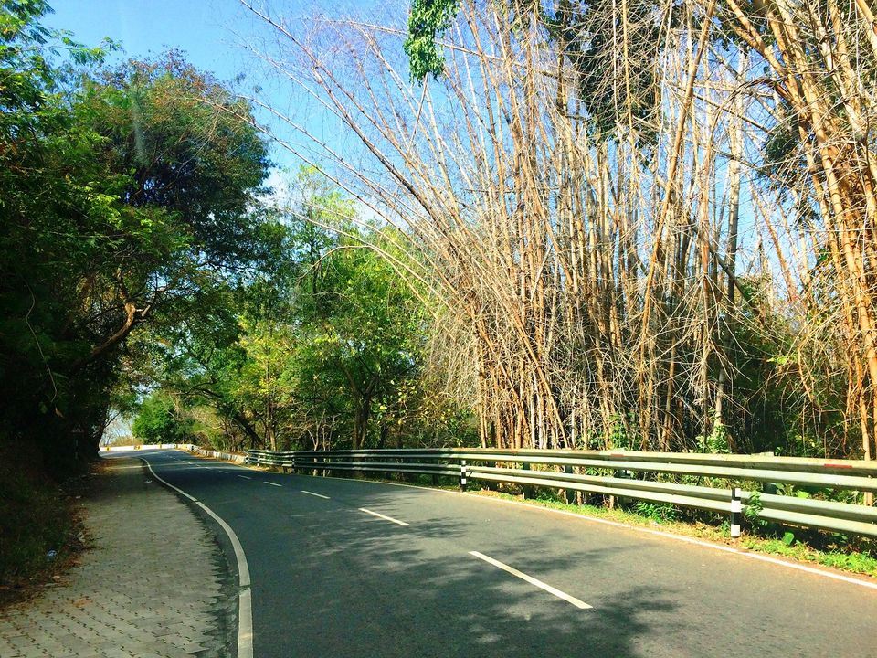 Photo of Unwind at Yercaud!! 24/26 by Paramita