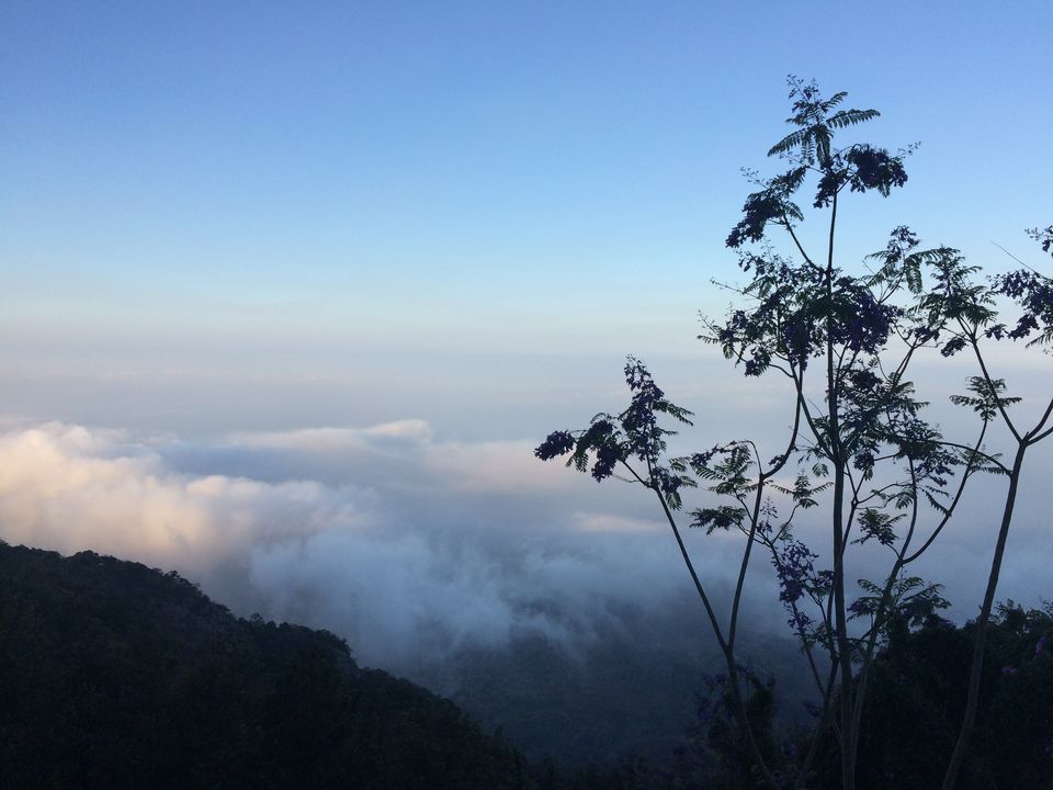Photo of Unwind at Yercaud!! 26/26 by Paramita