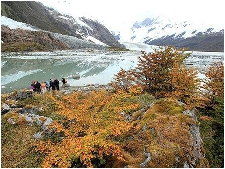 Photo of Scenic Cruises That You'll Only See in South America 2/6 by Nataliya Stefanus
