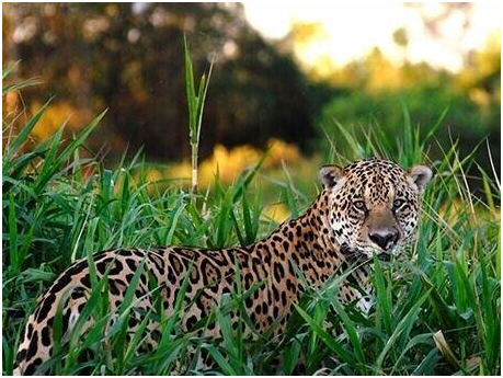 Photo of Scenic Cruises That You'll Only See in South America 4/6 by Nataliya Stefanus